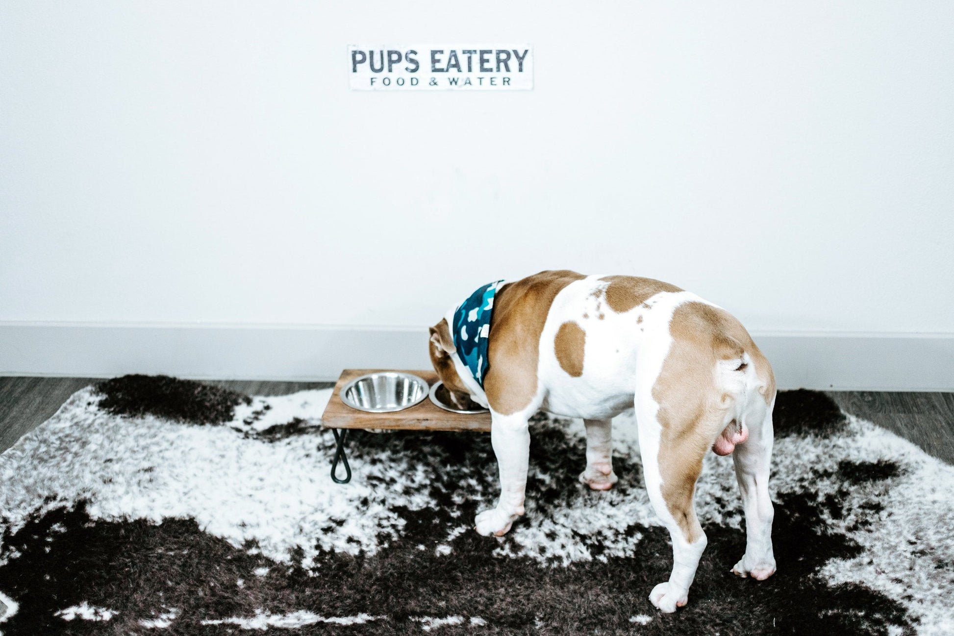 Pup's Eatery | Faux White Wood With Edging - The Sign Shoppe 